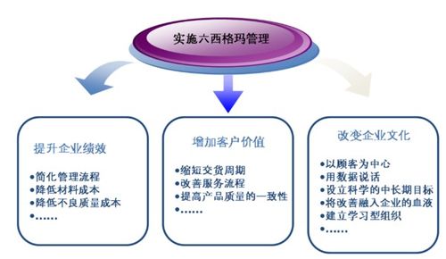 六西格瑪管理法 驅動企業(yè)卓越的五步循環(huán)